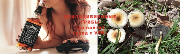 ECSTASY Баксан