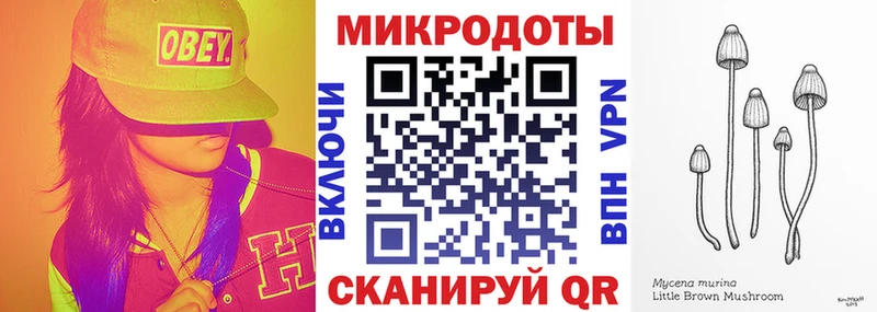 Галлюциногенные грибы MAGIC MUSHROOMS  где купить наркоту  Новый Уренгой 